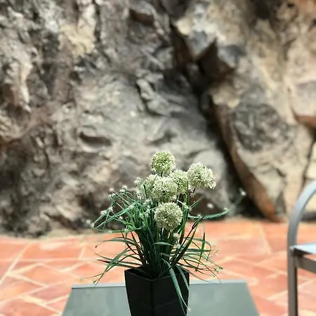 Hébergement de vacances 